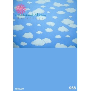 FUNDO FOTOGRÁFICO EM MALHA NUVENS REF.968